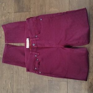 Tory Burch Burgundy Skinny Jeans With Blue Prints